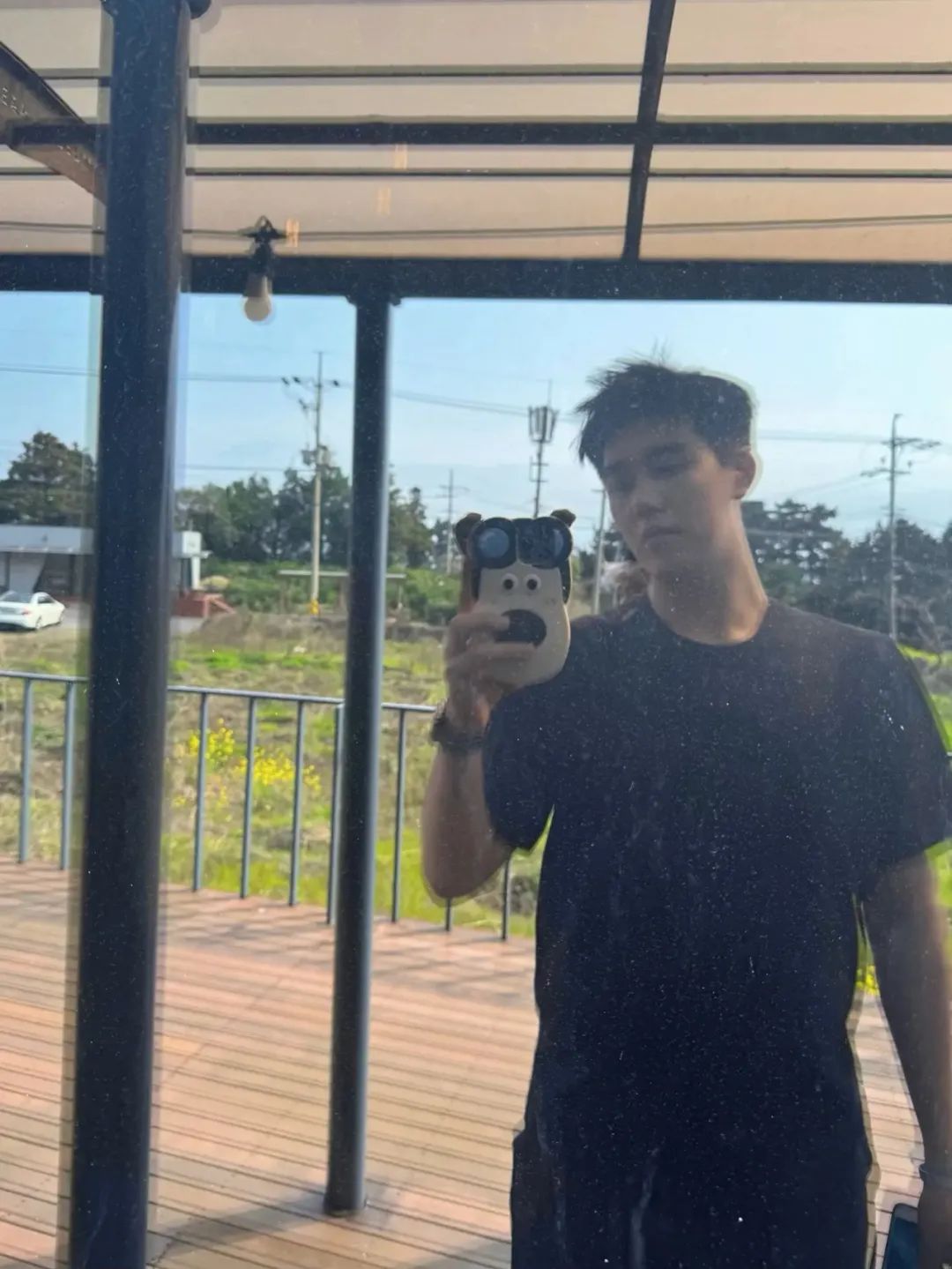 picture loss